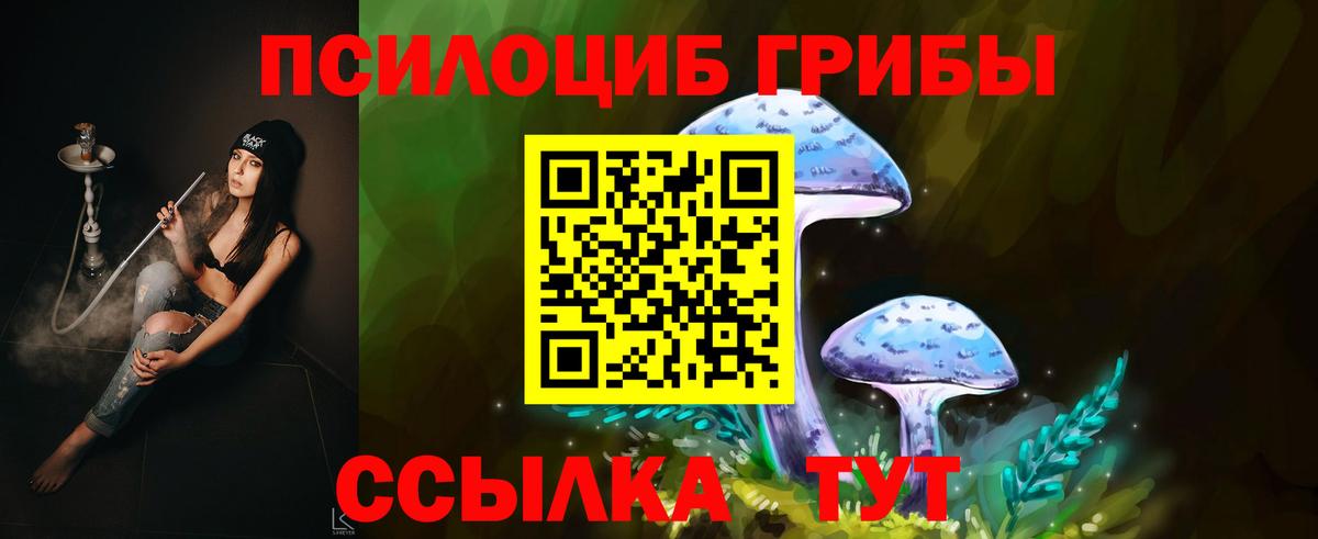 Мариинск  Галлюциногенные грибы Magic Shrooms  Вход с VPN 